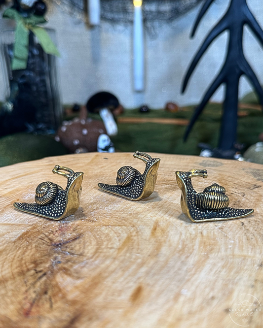 Snail Brass Buddy