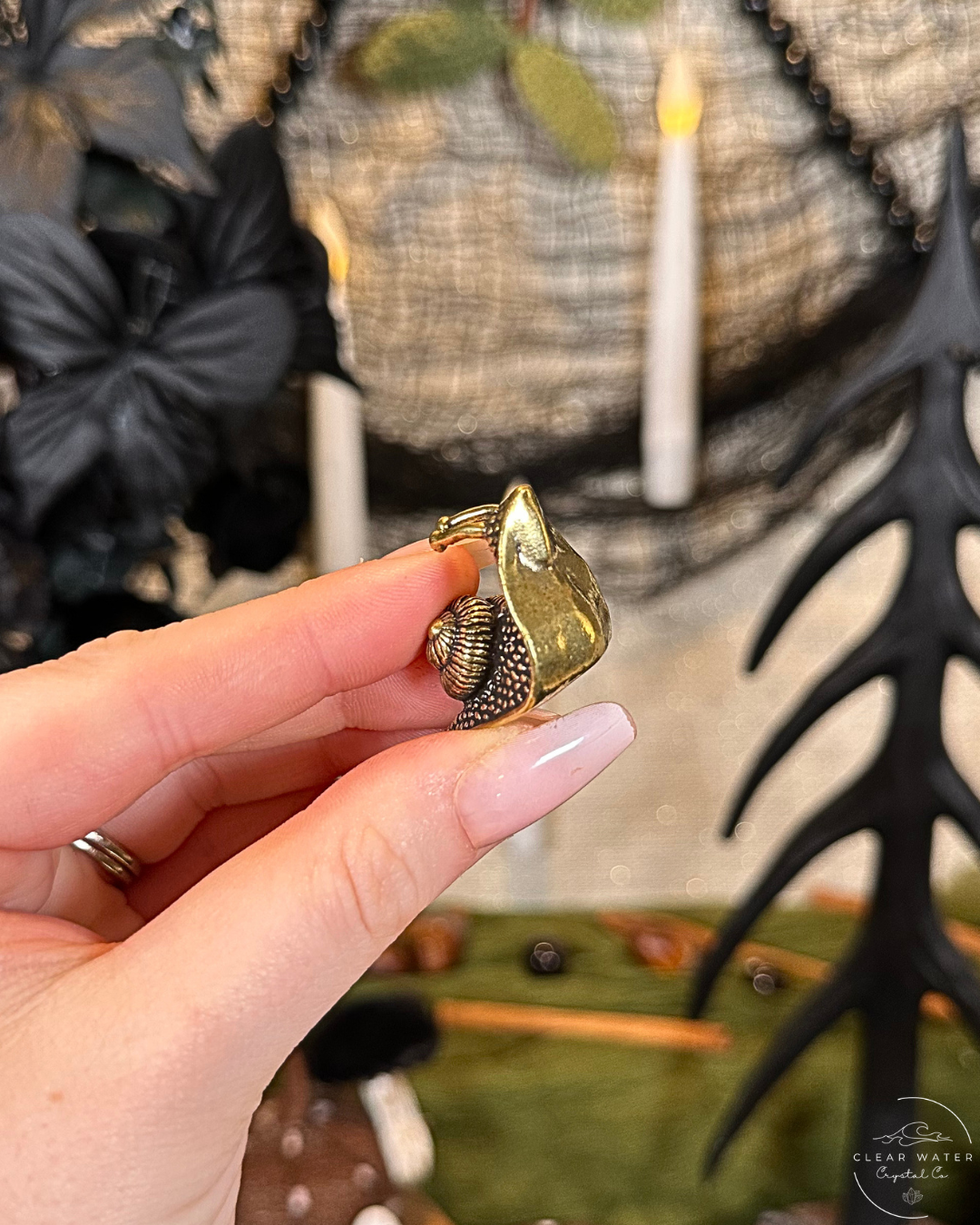 Snail Brass Buddy