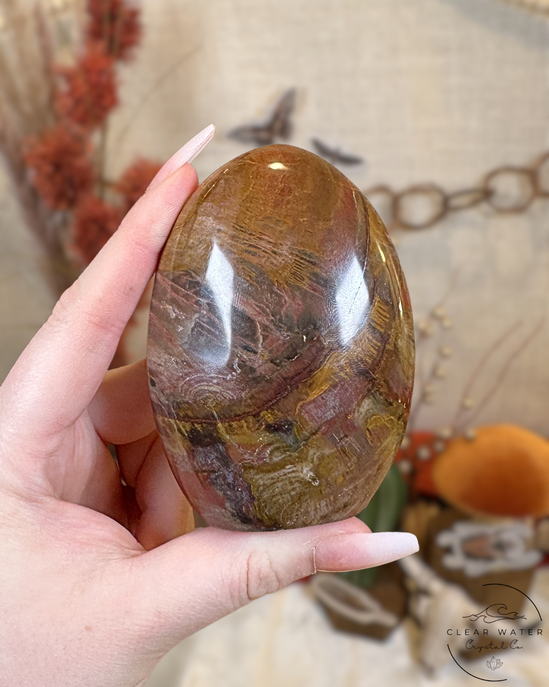 Red Petrified Wood Freeform- Madagascar