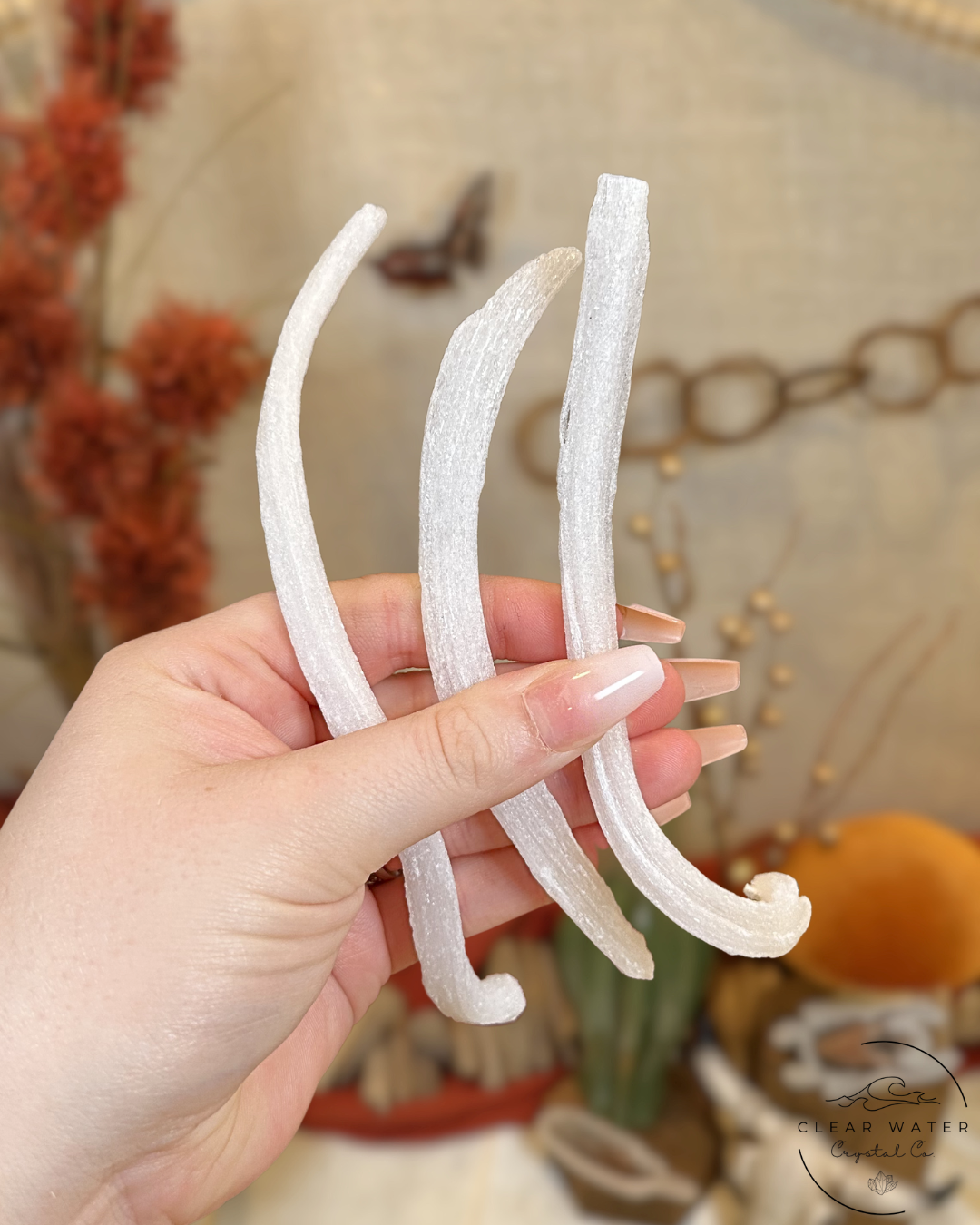 Selenite Ram Horn- Mexico