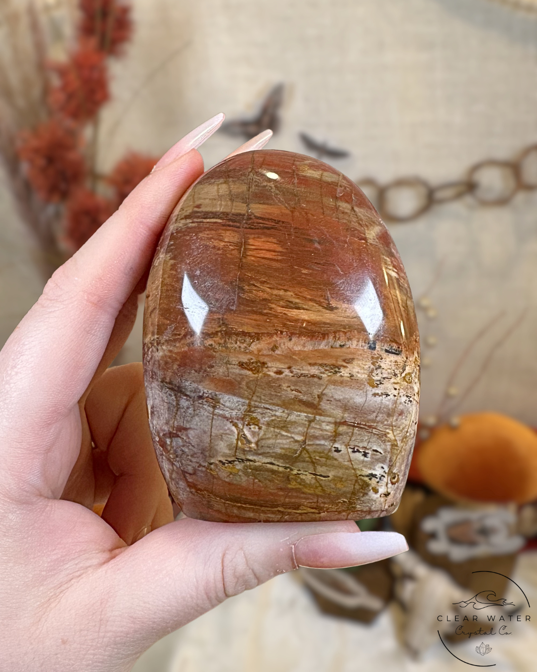 Red Petrified Wood Freeform- Madagascar