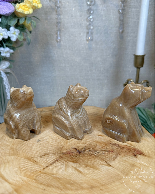 Amber Onyx Chubby Sitting Bear Carvings – Mexico