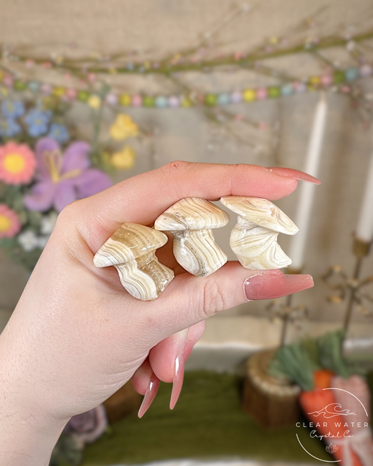 Orange Calcite Mushroom Carvings – Mexico