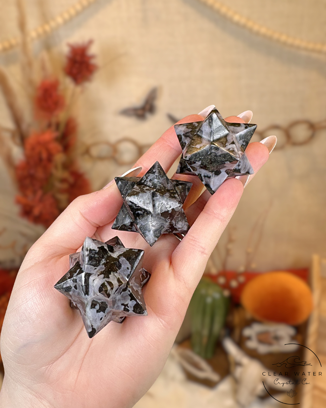 Indigo Gabbro Asteroid- Mexico