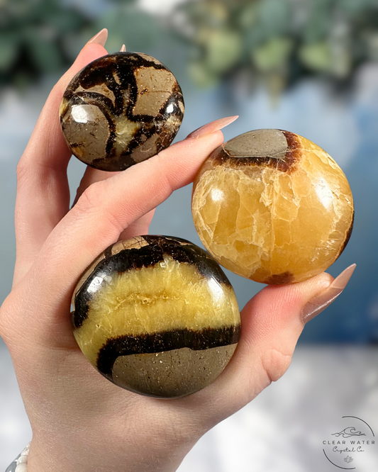 Septarian Palmstone: Dragon's Egg