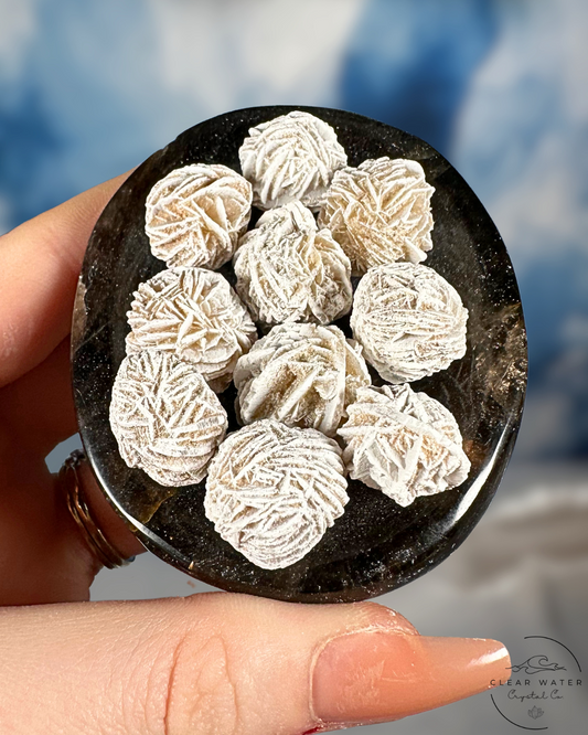 Mexican Desert Rose Tumbles — 3 for $1