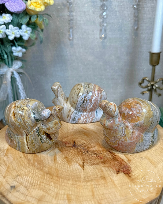Large Sea Jasper Snail Carvings – Indonesia