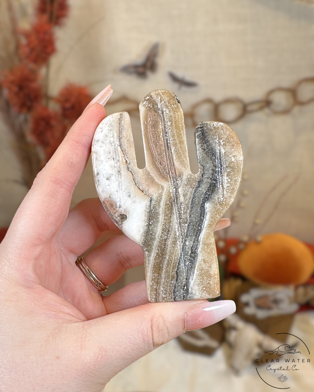 Zebra Calcite Cactus Carving- Mexico