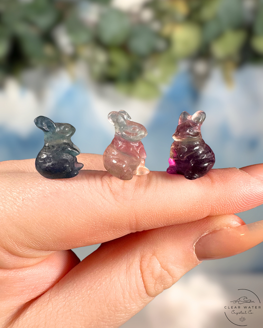 Fluorite Bunny: Hoppy Harmony