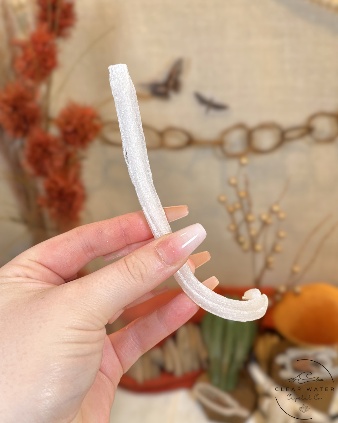Selenite Ram Horn- Mexico