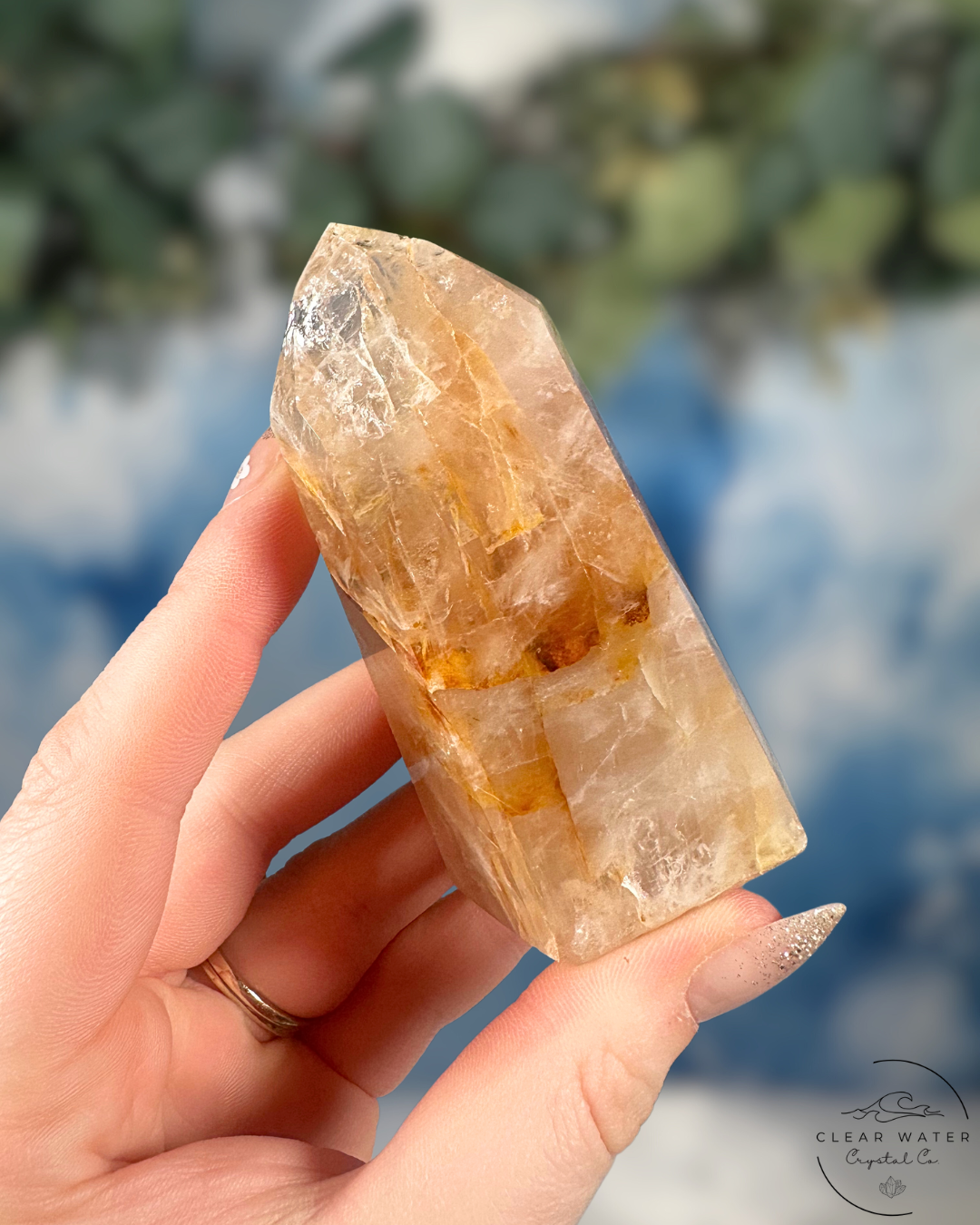 Brazilian Golden Healer Towers: Sunlit Wisdom