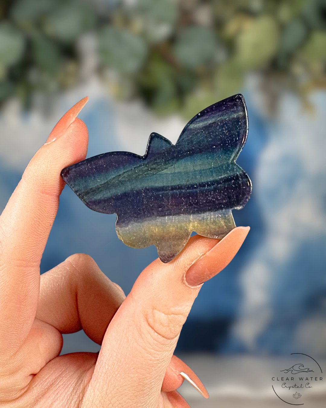 Rainbow Fluorite Butterflies