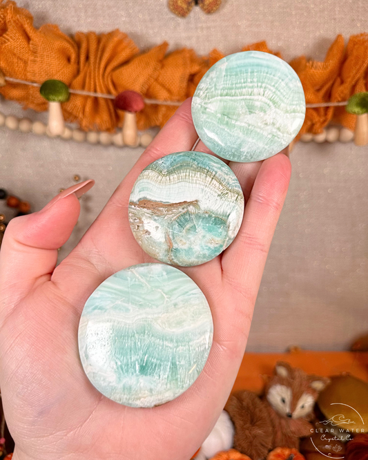 Tidepool: Caribbean Calcite Flatstone