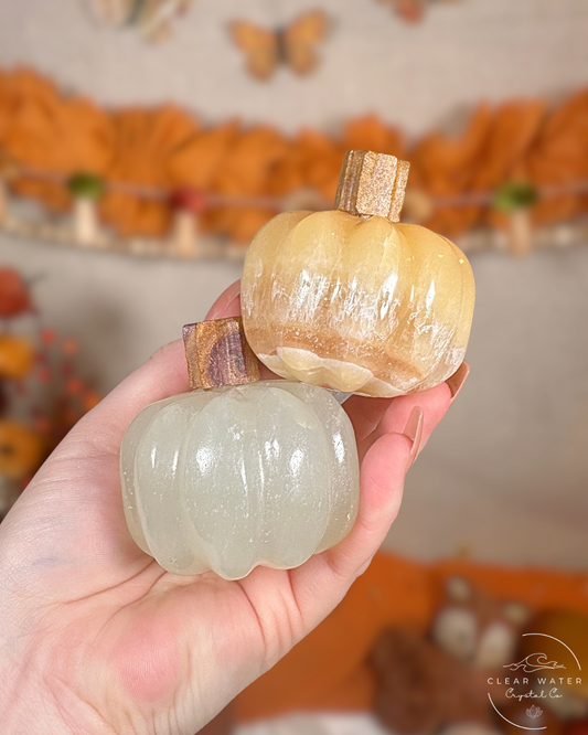 Mexican Onyx Pumpkins- The Grove’s Gourds