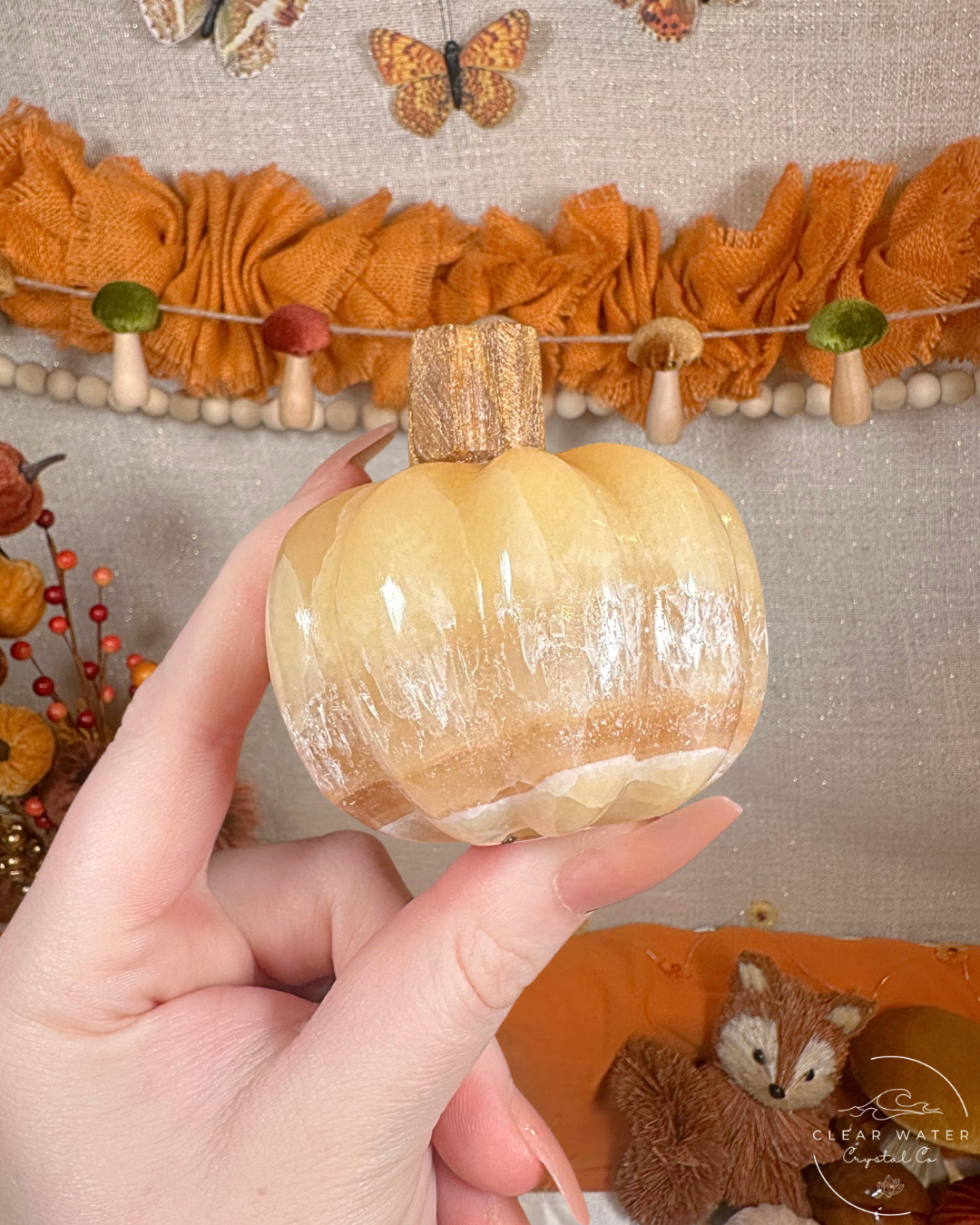 Mexican Onyx Pumpkins- The Grove’s Gourds