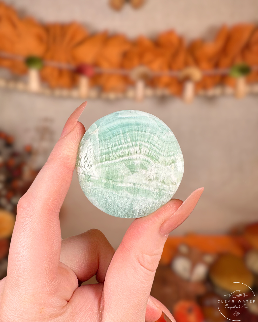 Tidepool: Caribbean Calcite Flatstone