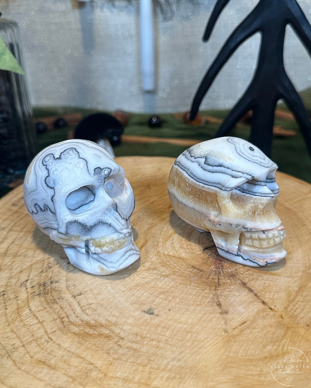 Zebra Calcite Skull Carving | Mexico
