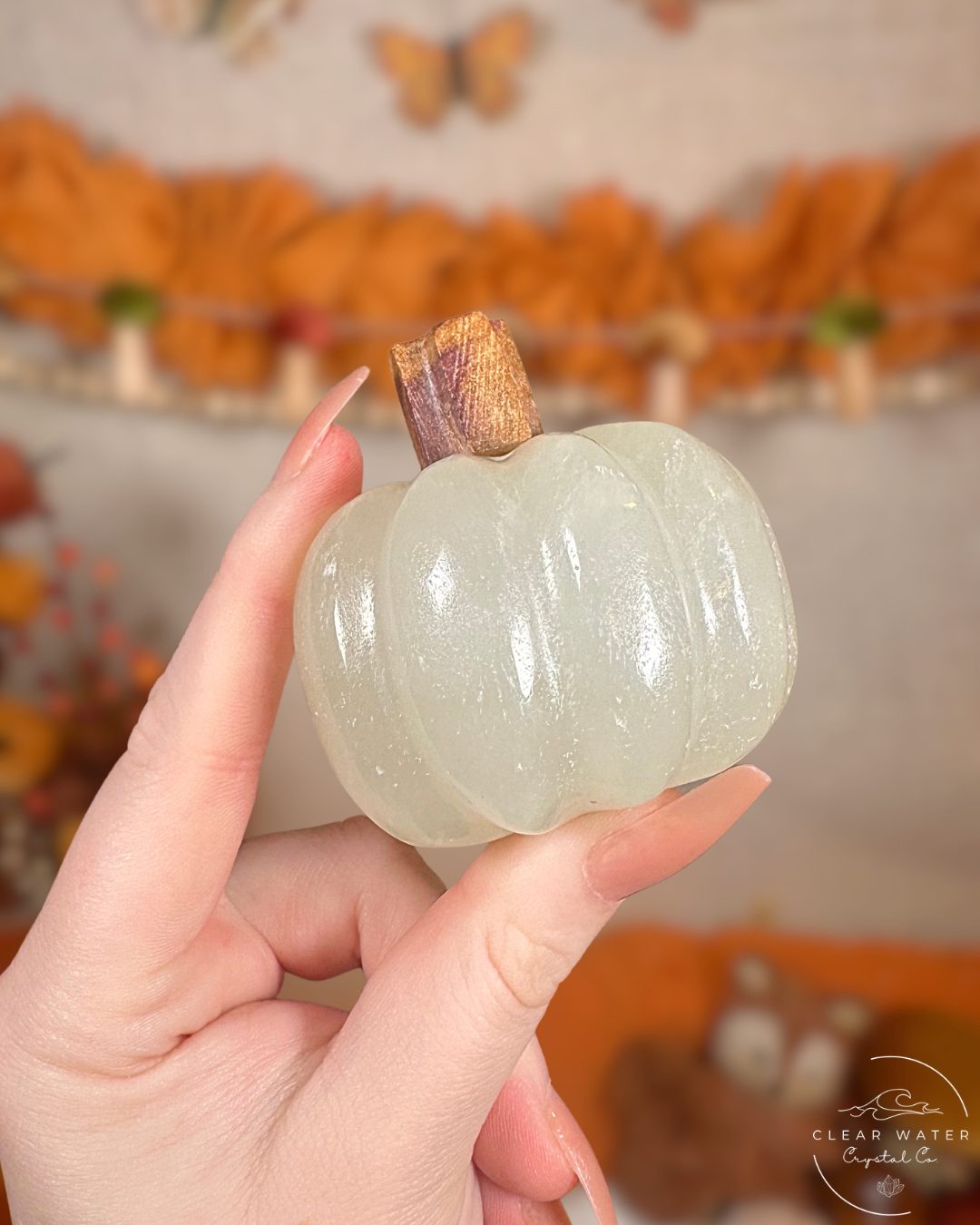 Mexican Onyx Pumpkins- The Grove’s Gourds