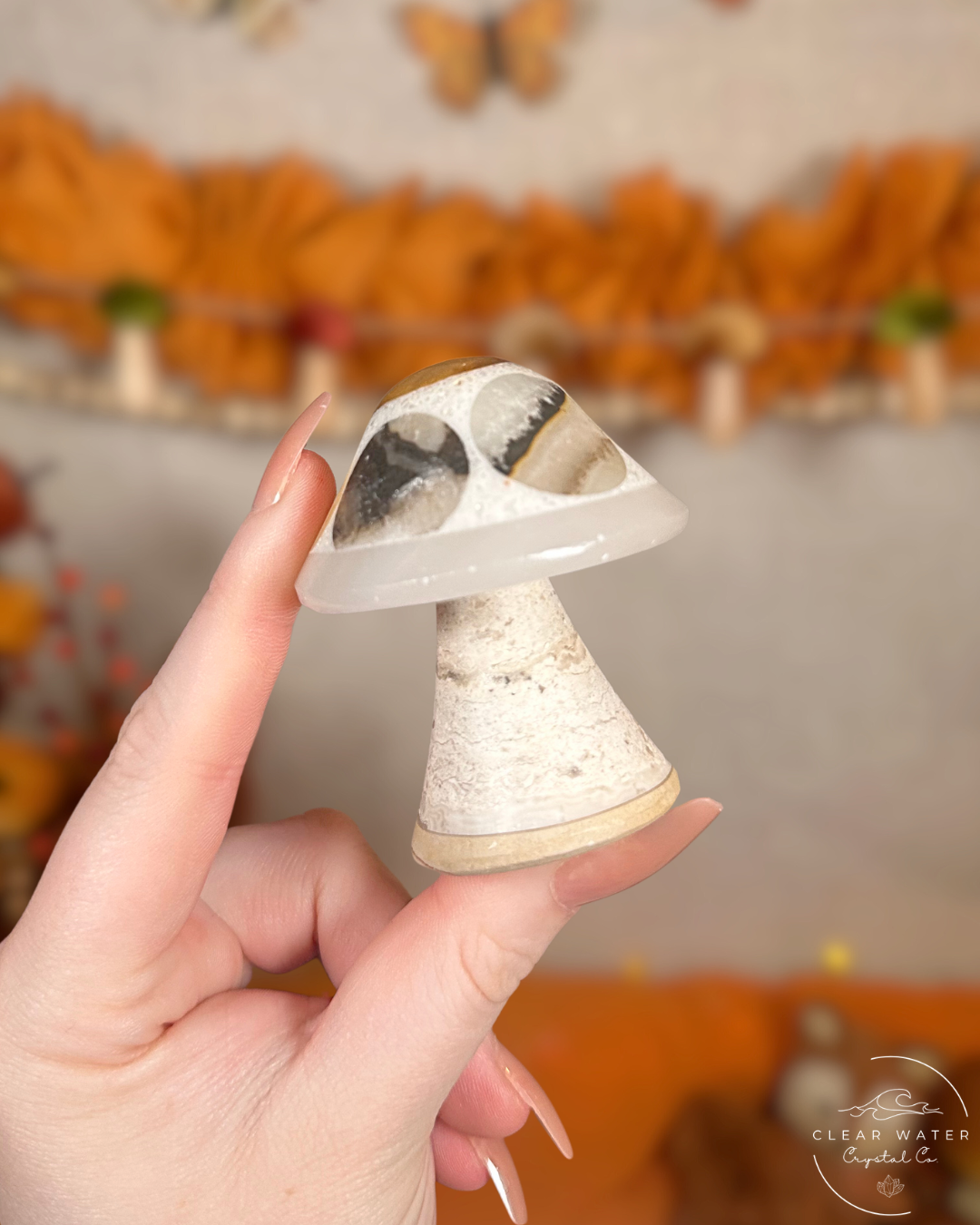 Mexican Calcite Mushrooms- Autumn Sprouts
