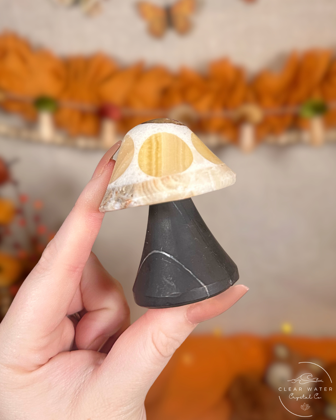 Mexican Calcite Mushrooms- Autumn Sprouts