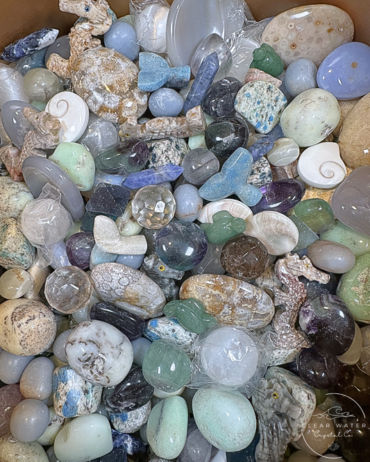 Tidepool Treasures: A Coastal Crystal Scoop