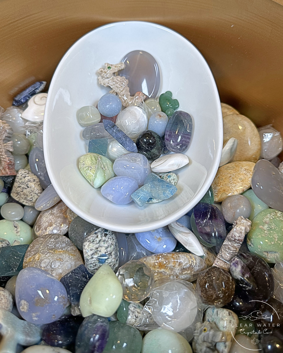 Tidepool Treasures: A Coastal Crystal Scoop