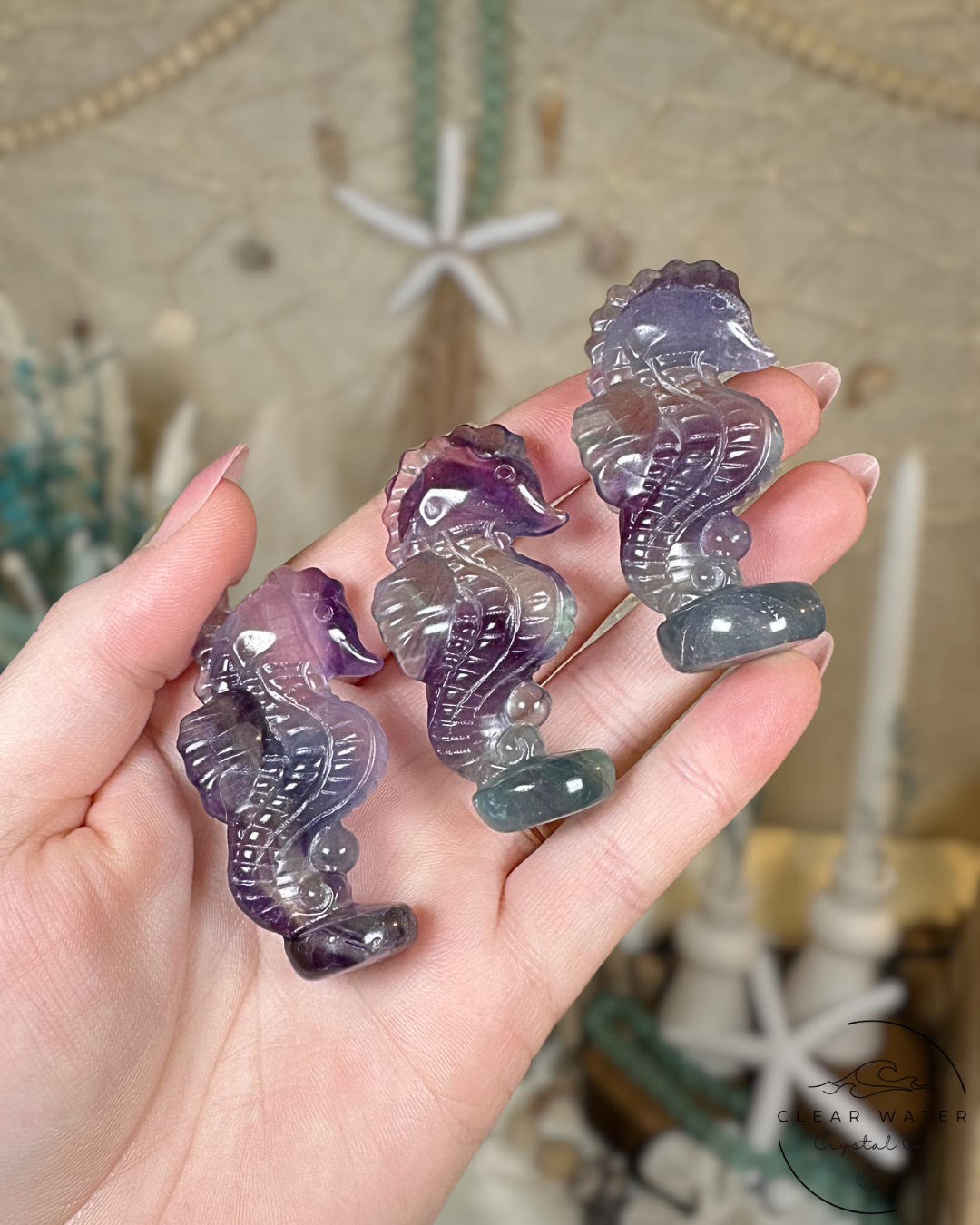 Rainbow Fluorite Seahorse Carving