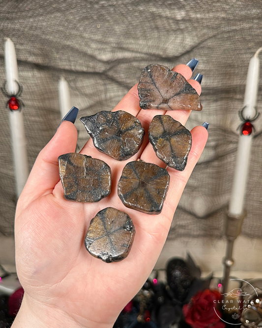 Chiastolite Flatstones (Imperfect)