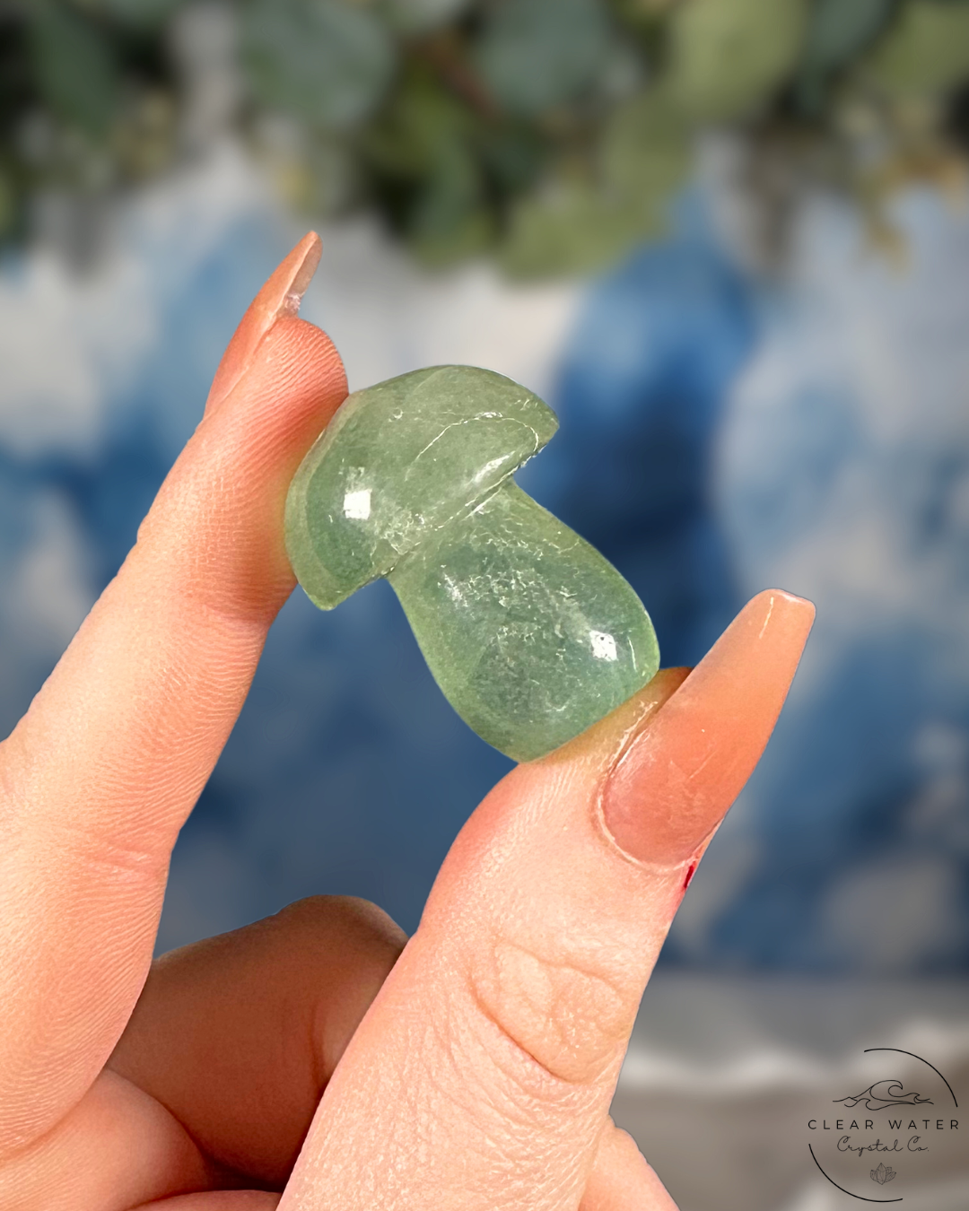 Candy Fluorite Mushrooms