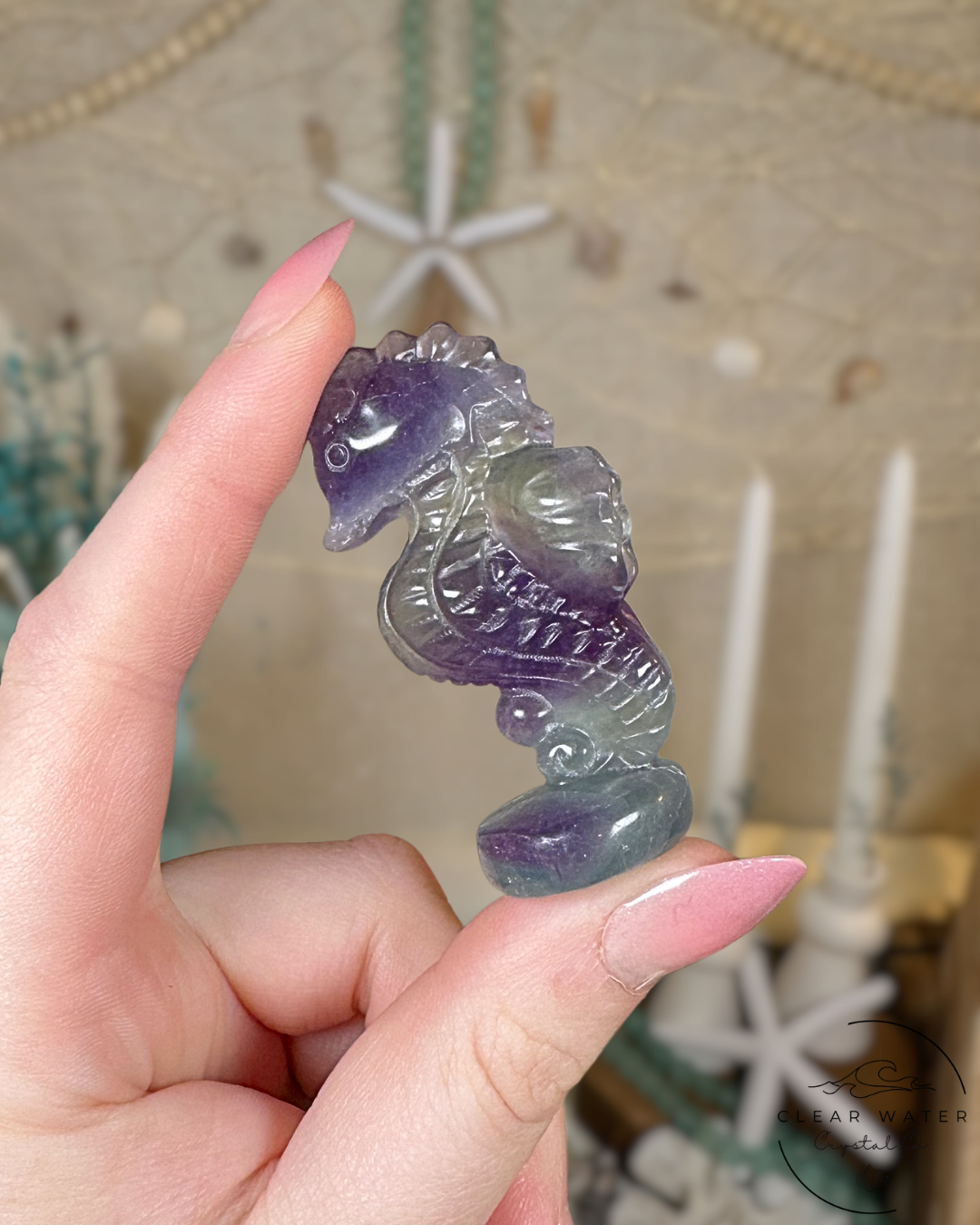 Rainbow Fluorite Seahorse Carving
