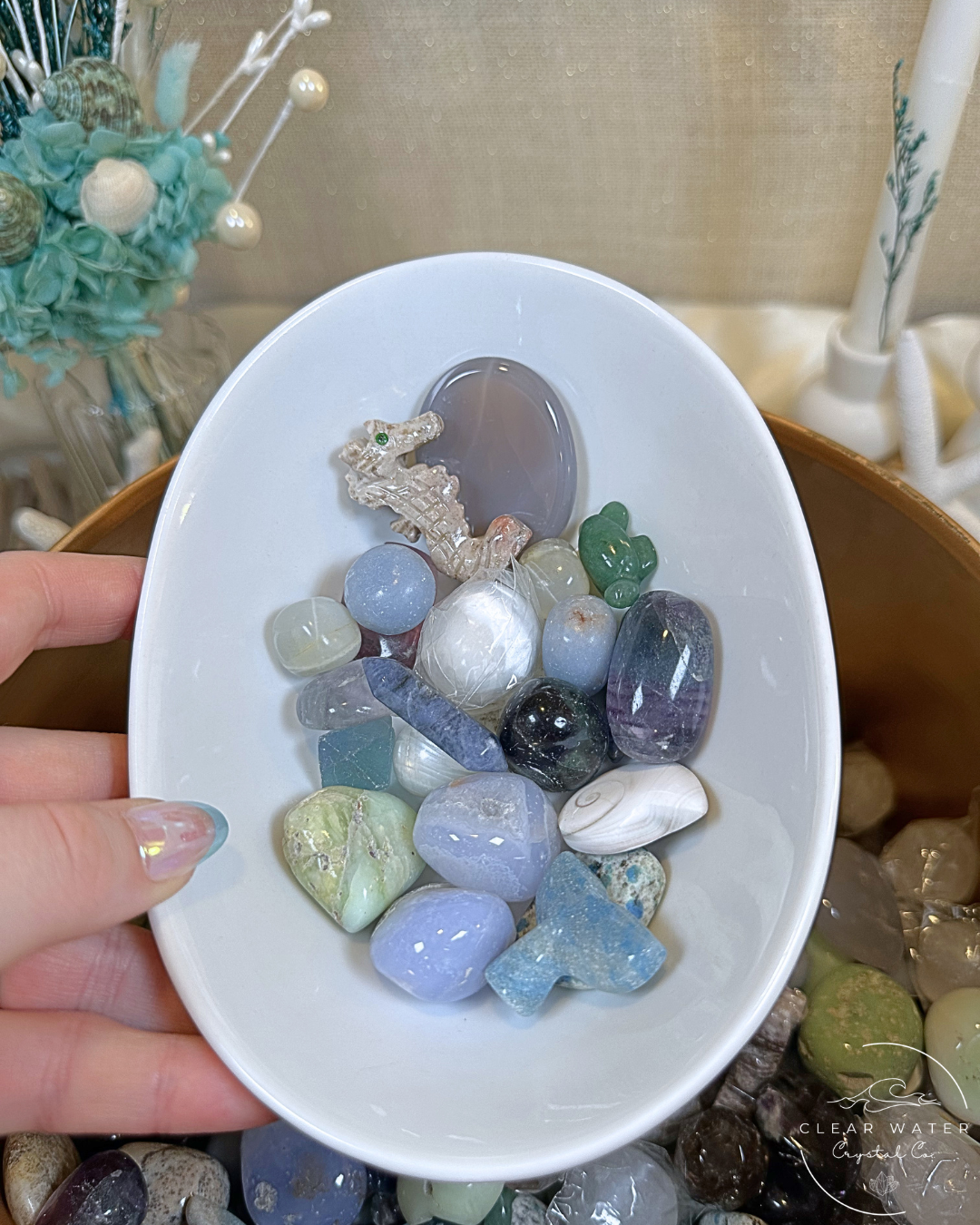 Tidepool Treasures: A Coastal Crystal Scoop