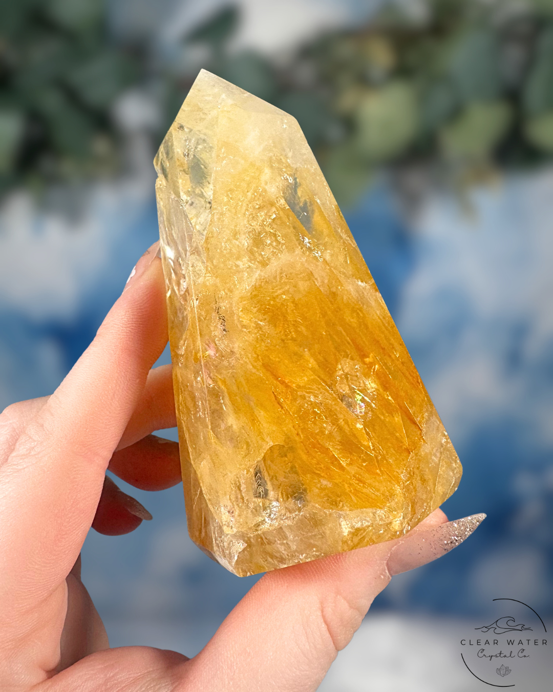 Brazilian Golden Healer Towers: Sunlit Wisdom