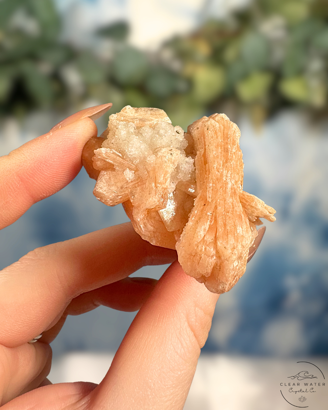 Peach Stilbite Specimens: Soft Connection