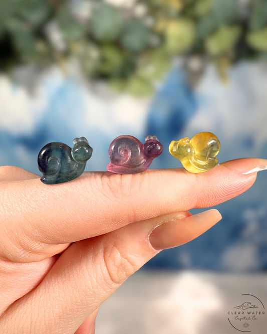 Fluorite Snail: Slow Down & Shine