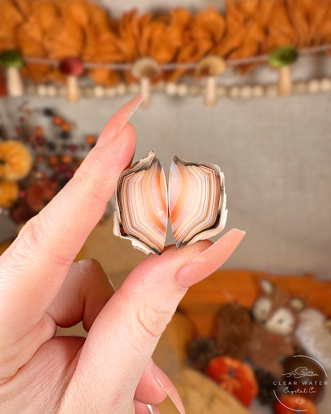 Carnelian Agate Pairs (Motifs) – Indonesia