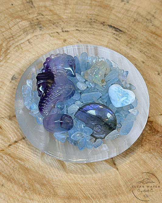 Seahorse Shore’s: A Coastal Crystal Bundle