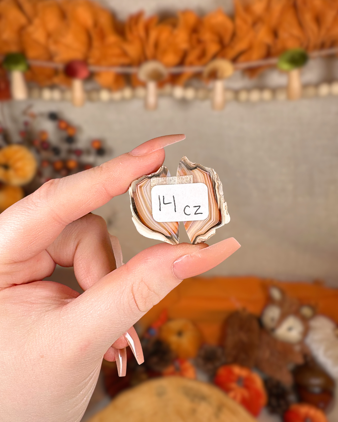 Carnelian Agate Pairs (Motifs) – Indonesia