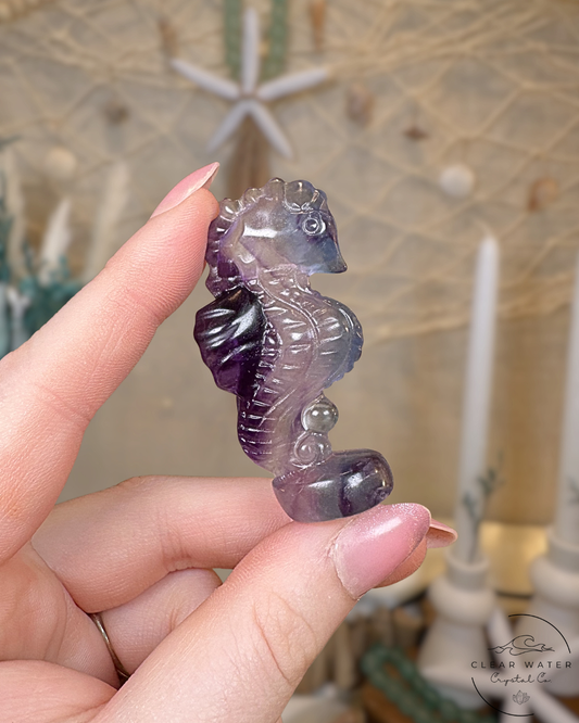 Seahorse Shore’s: A Coastal Crystal Bundle