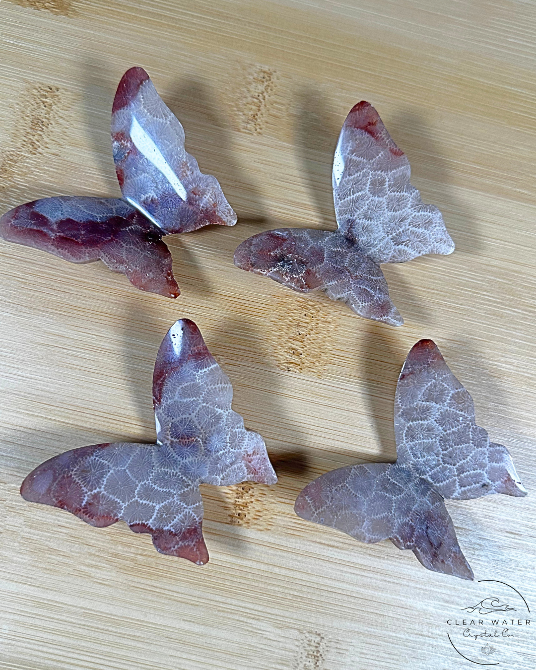 Indonesian Pink Coral Butterfly – The Dawn Dancer