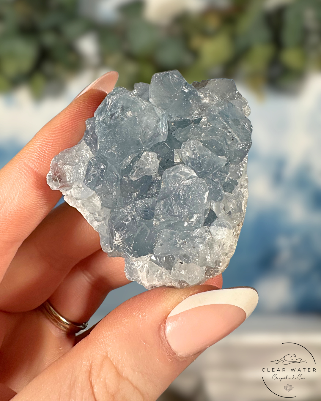 Celestite Clusters: Whispers of the Heavens