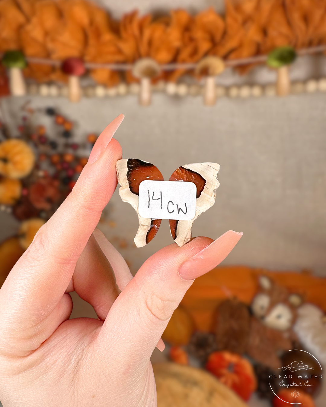 Carnelian Agate Pairs (Motifs) – Indonesia