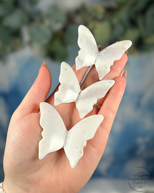Indonesian Snow Agate Butterfly – The Frostwing