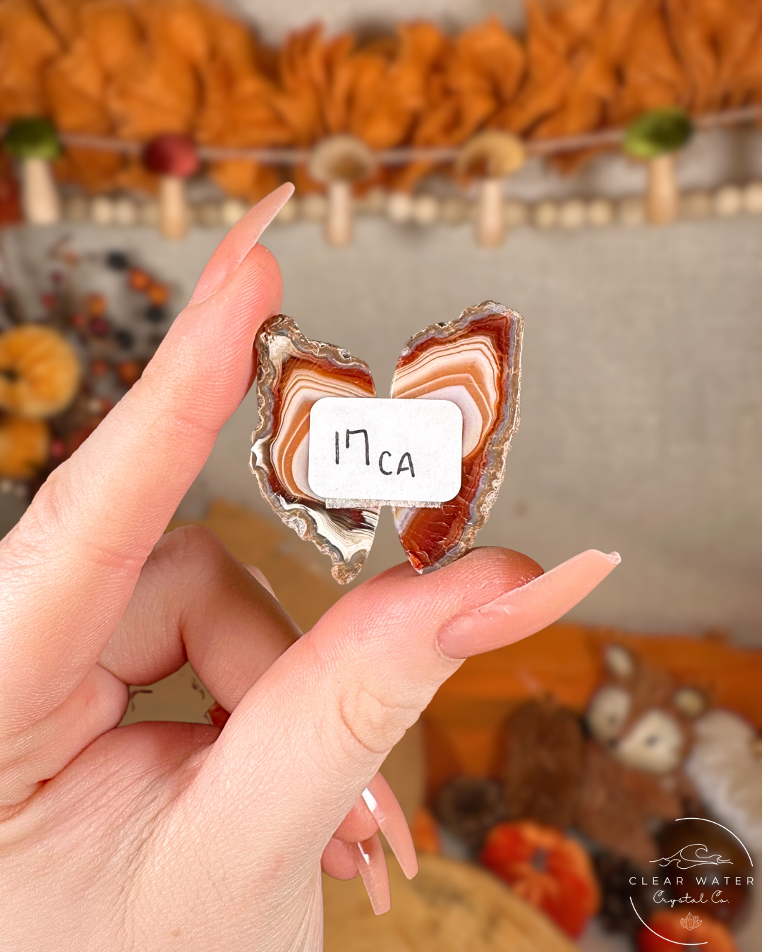 Carnelian Agate Pairs (Motifs) – Indonesia