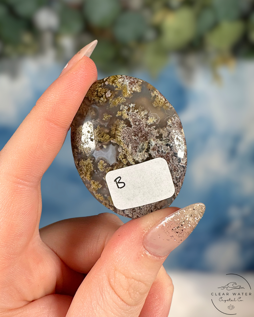 Indonesian Scenic Moss Agate Palmstone: Forest Whispers