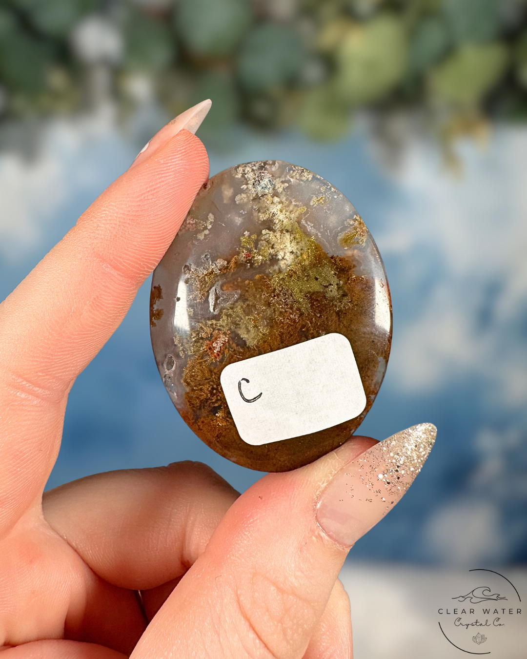 Indonesian Scenic Moss Agate Palmstone: Forest Whispers