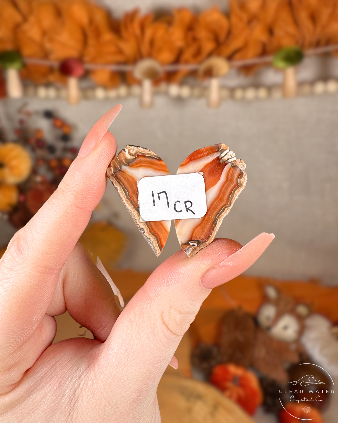 Carnelian Agate Pairs (Motifs) – Indonesia