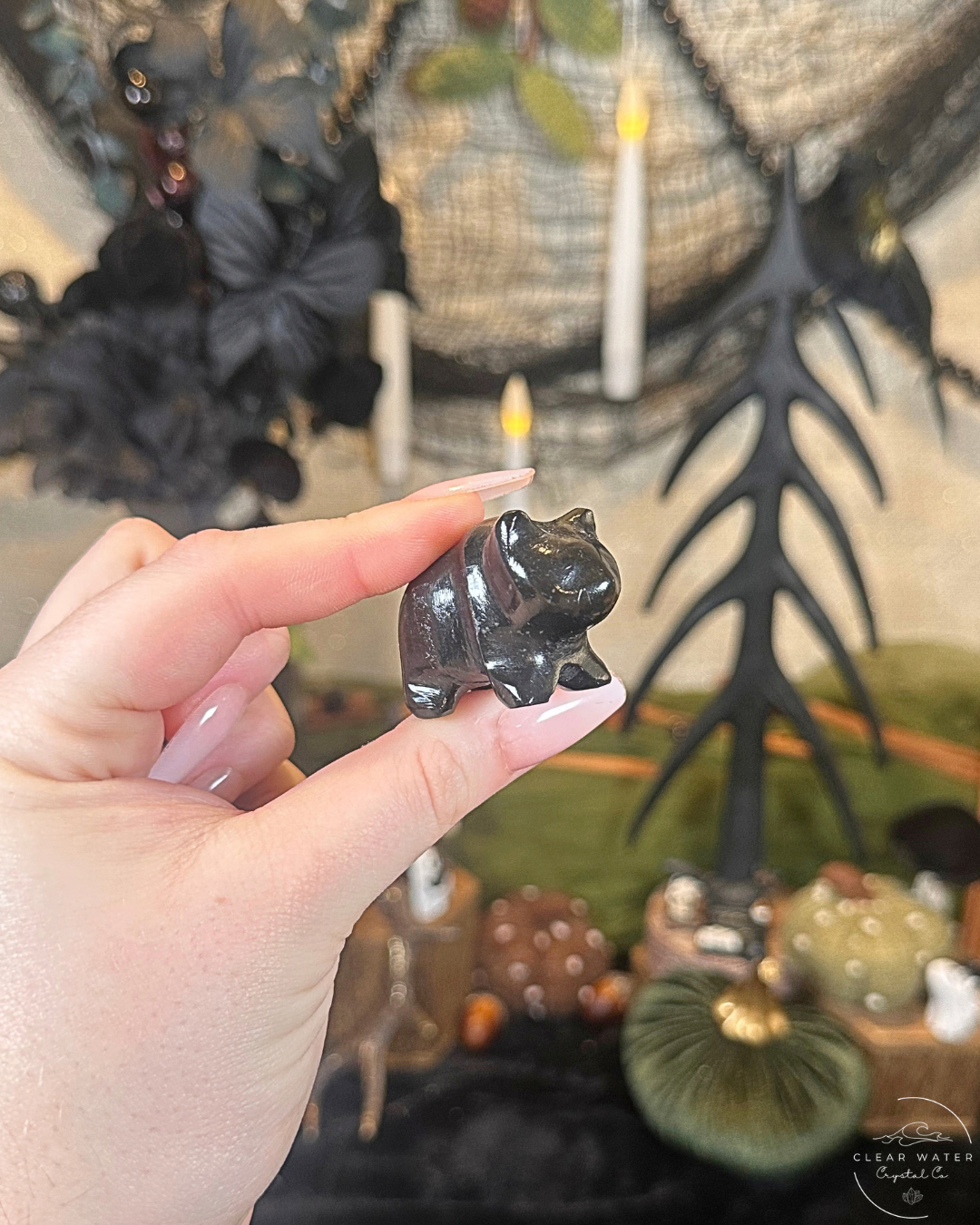 Black Onyx Bear Carving | Mexico