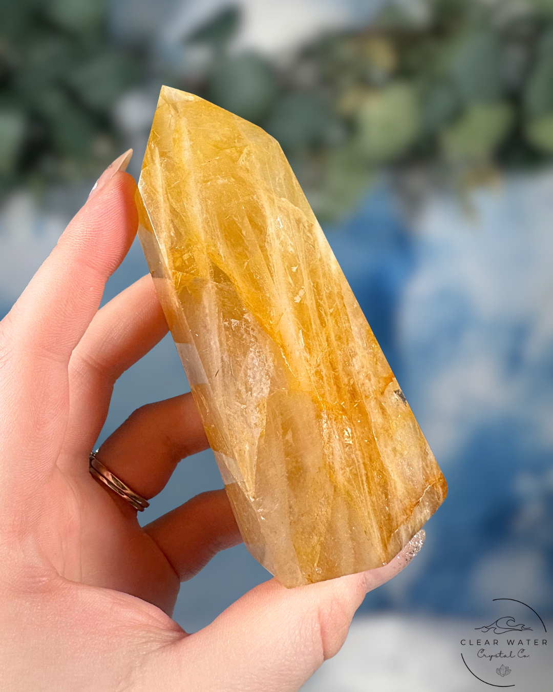 Brazilian Golden Healer Towers: Sunlit Wisdom
