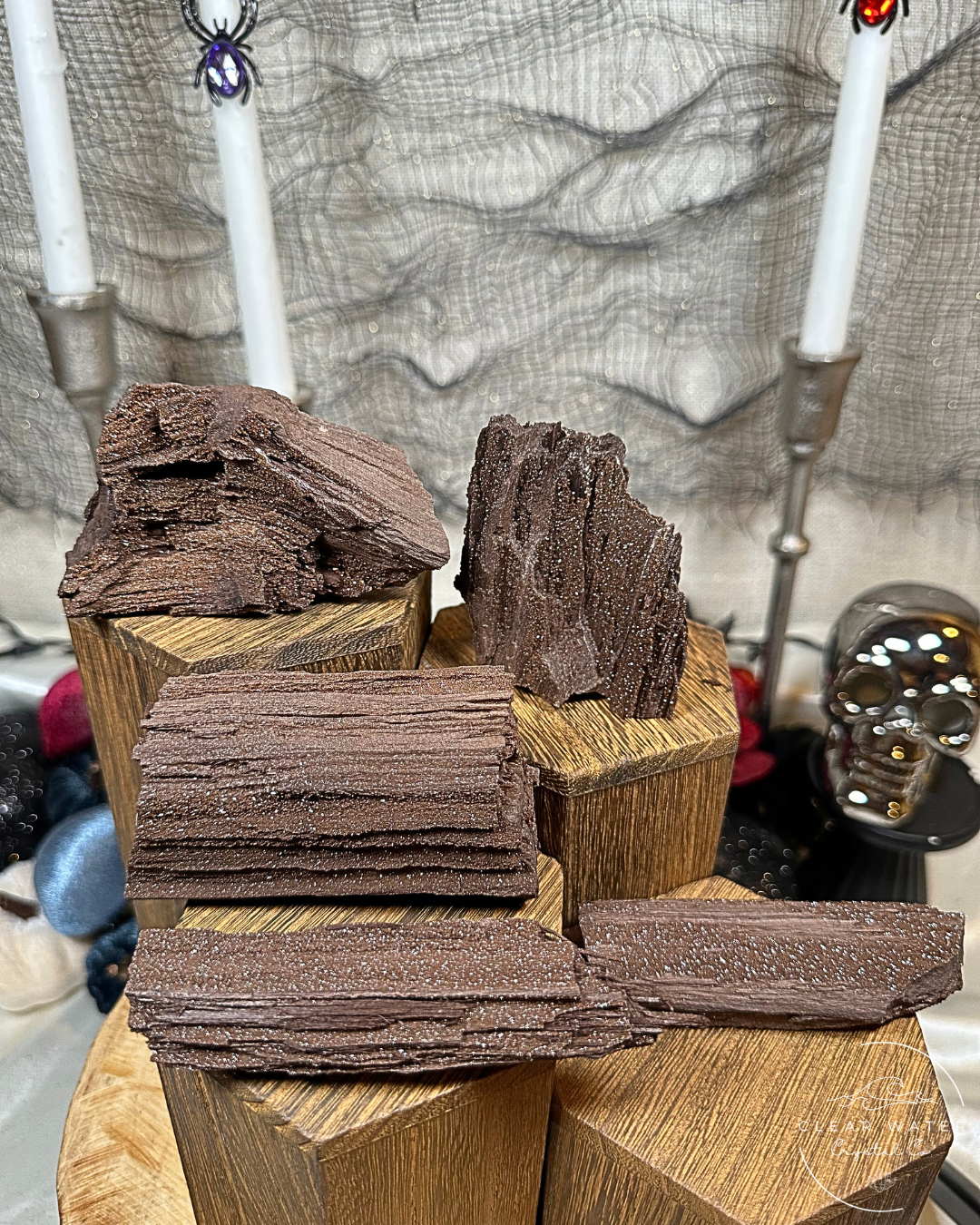 Permineralized Wood Specimens – Germany