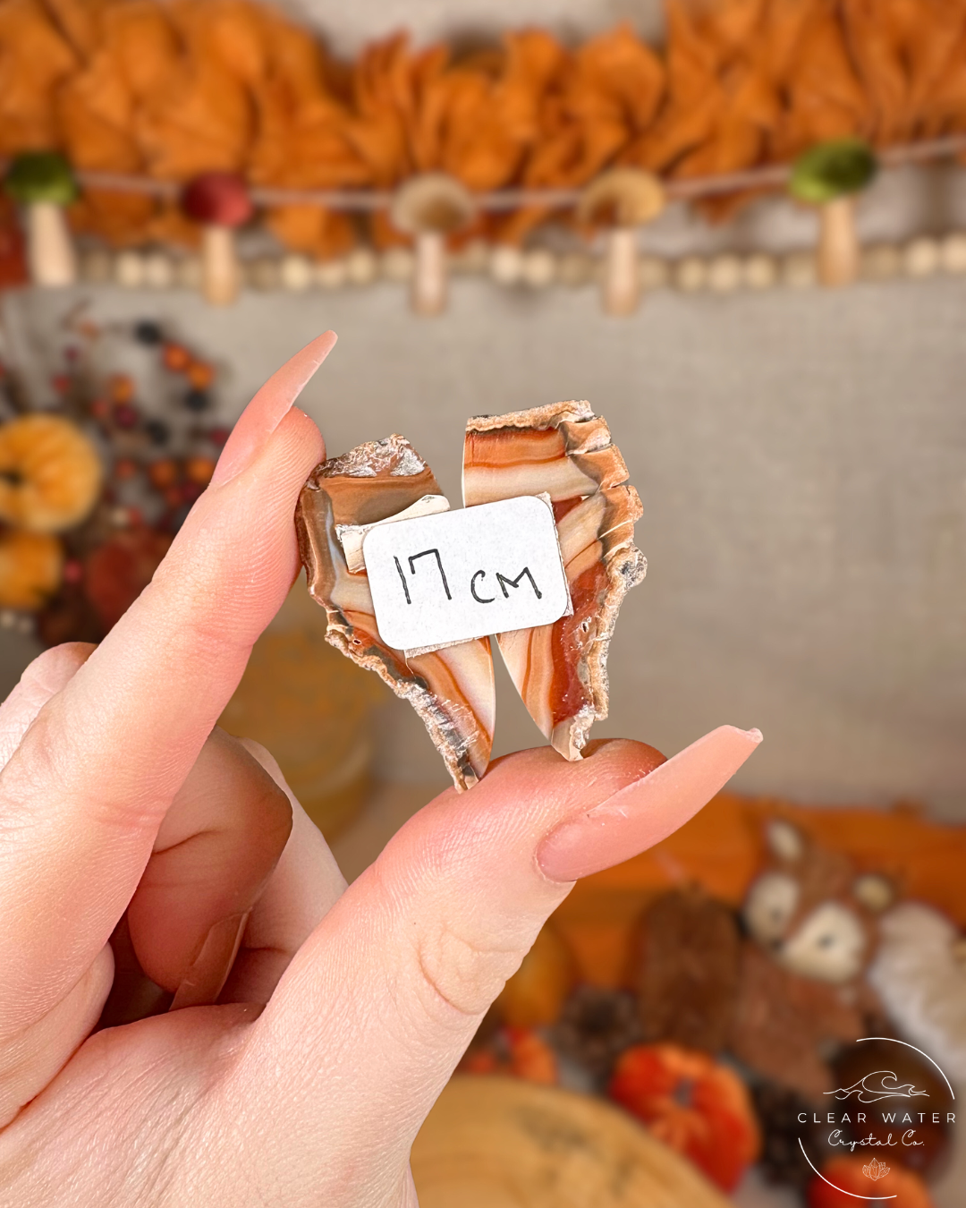 Carnelian Agate Pairs (Motifs) – Indonesia